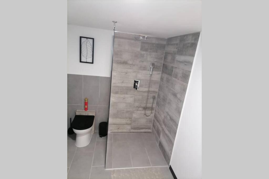 Maison 50 Nuances De Bresse Saint-Didier-en-Bresse Zewnętrze zdjęcie